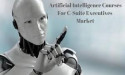 Artificial Intelligence Courses for C-suite Executives Market is Touching New Level: INSEAD,Harvard Business School