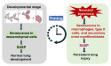 Chinese Medical Journal Pulmonary and Critical Care Medicine Study Uncovers the Role of Cellular Aging in Lung Diseases