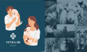  The VetBilim Project Unveils AI-Based Health Management for Pets 
