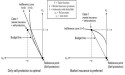 The influence of optimism bias and loss aversion of cyber risk management decisions