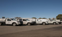 Enhancing Business Operations with Effective Pest Control Solutions in Canberra