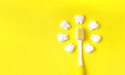 How to Choose the Right Toothbrush and Toothpaste for Your Needs