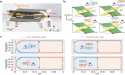 Chiral quantum heating and cooling with an optically controlled ion
