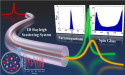 Replica symmetry breaking in 1D Rayleigh scattering system: theory and validations