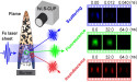The world’s fastest single-shot 2D imaging technique films ultrafast dynamics in flames