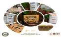 Leading with impact: premier provider of coir-based products, Salike, reaches new heights in its sustainability journey