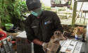  A Second Chance At Freedom International Animal Rescue Shares Groundbreaking Conservation Wins For Slow Lorises As We Celebrate International Slow Loris Day 