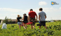 Agritourism: Rapid Growth, $111.1 Billion Market Valuation Forecast