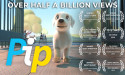 'Pip', The Wildly Popular Animated Short by Dogs Inc, Reaches Over Half A Billion Views