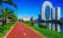 Batumi Gains Recognition as a Leading Casino Destination, Boosting Batumicasinoguide.com