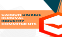 55 Companies Endorse Landmark Standards for Carbon Removal Development