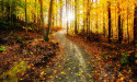 Fall Arrives, and a Story Emerges That Suggests God is a Sports Fan