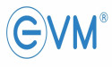 Amidst Foreign Dominance, Indian Brand EVM Emerges as 'Leading SSD Brand of 2023'