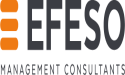  EFESO Management Consultants Expands in Central East Europe and Enhances Factory Planning Services 