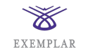 Exemplar Accelerates Growth with Christine Milone Steering New P&C Insurance Practice