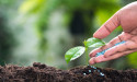 Vietnam Fertilizer Market: Influential Factors Determining the Trajectory of the Market