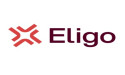Eligo: celebrating 30 years of innovation and resilience in online voting solutions