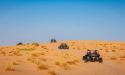 Qrated Event Introduces Tailored Team-Building Experiences in Dubai