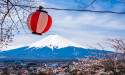 USD/JPY forecast: signal as BoJ interest rate hike odds rise
