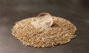 Specialty Malts Market Report, Size, Share Report 2024-2032