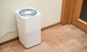 Dehumidifiers vs. Carpet Driers: Understanding Their Role in Water Damage Restoration