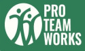 Pro Team Works Urges Chicago Residents to Schedule Window Washing Before Cold Weather Arrives