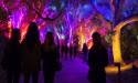 Holiday Event Organizers Get Major POS Upgrade with TicketsCandy