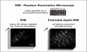 Fast super-resolved microscopy with a structured illumination and extended depth detection