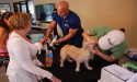 Fetch Pet Insurance Announces Third Annual 101 Donations Campaign in Support of Project Street Vet