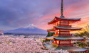 Yuta Kobayashi’s arrest highlights Japan’s first crypto laundering case using Monero