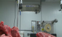 RGF® Environmental Group’s PHI-Cell® Technology Proven Effective at Controlling Listeria in Food Processing Plants