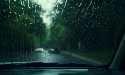 Legal Consequences of Driving Without Insurance in Louisiana