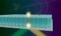 Nanoscale layer boosts signal strength in fluorescence and Raman spectroscopy