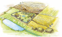  Medieval people prioritized cereal farming, fertilized, and organized land efficiently, showing economic adaptability 