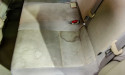 Detail World LLC Introduces Professional-Grade Products for Effective Car Upholstery and Carpet Stain Removal