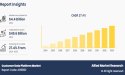 Growing at a CAGR of 27.4% | The Global Customer Data Platform Market Reach USD 49.6 Billion by 2033