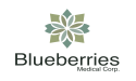 Blueberries Medical Corp Appoints Guillermo P. Rodríguez as Board Member and Announces Thomas P. Rodríguez as New CFO