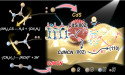Atomic-level heterostructures for enhanced photocatalytic hydrogen evolution