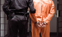 Why private prison stocks are surging after Tom Homan’s appointment as ‘border czar’