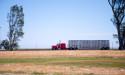 Walker Poultry Trailers Advises Poultry Companies on Optimal Timing for Fleet Upgrades