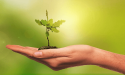  Environmental and Engineering Consulting Services Market to Witness Stunning Growth | Stantec, AECOM, Tetra Tech 