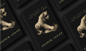 Andrew Venier Debuts The Tale of the Onyx Tiger: A Novel on Friendship, Fate, and Life’s Big Questions