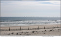 Nj Coalition Demands Full Accounting Of All Costs Associated With Controversial Atlantic Shores South Offshore Wind Project