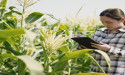 I2I Automation Launches Groundbreaking Agricultural Software to Streamline Operations for Canadian Farmers