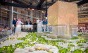 Cityscape Global Offers Attendees Access to Entire Real Estate Ecosystem