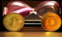 Crypto bull run? Market cap soars to $3.2 trillion, CoinGecko data shows