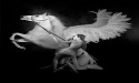 Los Angeles based Artist, Paal Anand, Finalist in Prestigious Arte Laguna Prize in Venice, Italy