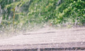 The Role of Wind and Hail Insurance in Coastal Louisiana