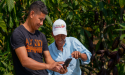  Compañía Nacional de Chocolates Partners with Farmforce to Launch the Traceability and Zero Deforestation Program (PTCD) 