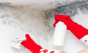 Winter Health Warning: Mould Poses Serious Risks as Damp Conditions Increase